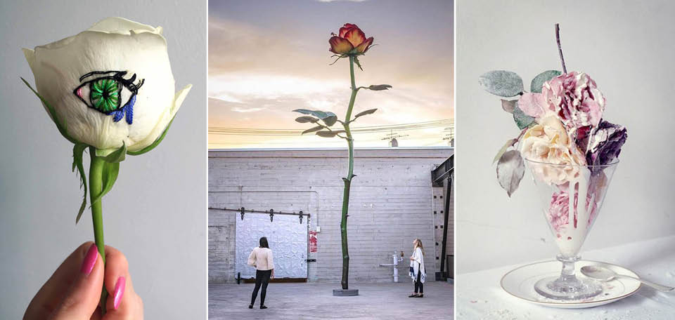 floral dessin roses phantasy ss2018