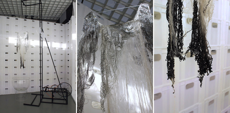 5 HelenStoreyFoundation