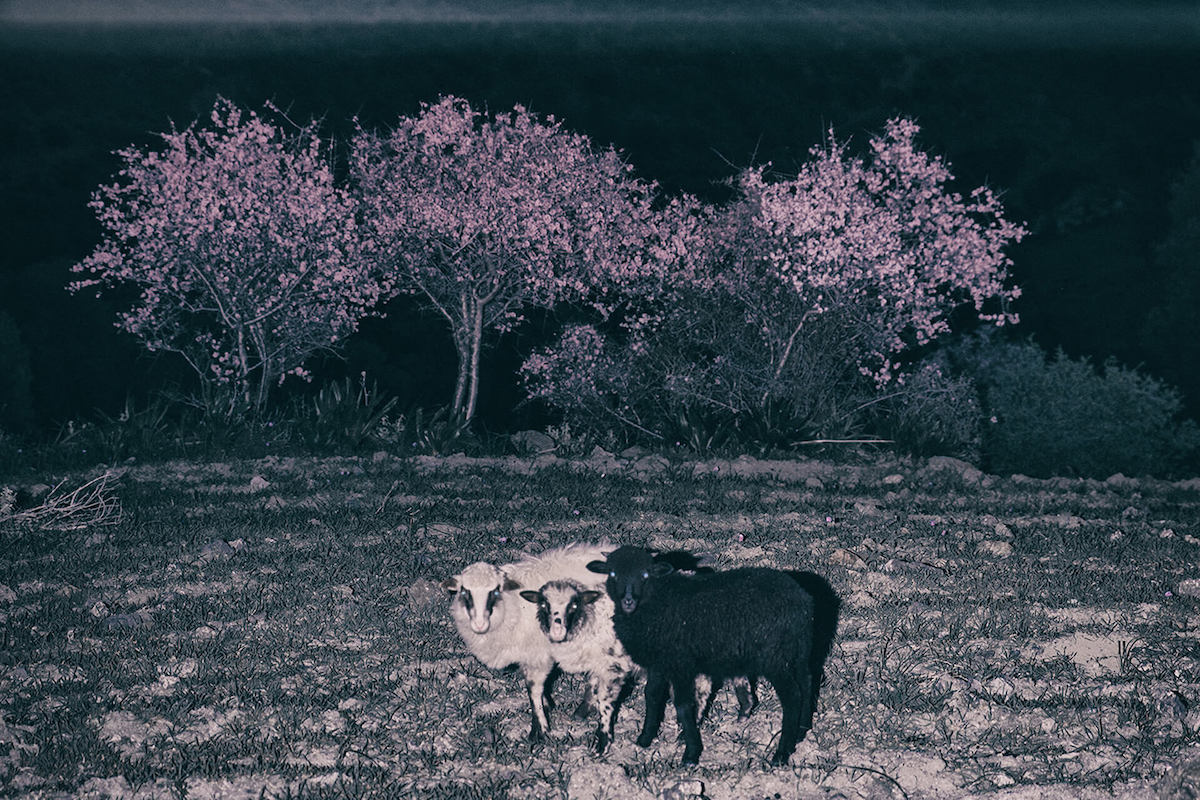 Foam Talent Call 2021 yorgos yatromanolakis