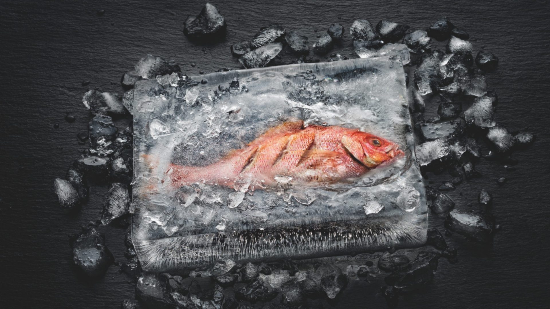 Miele Dialog oven milano 2018