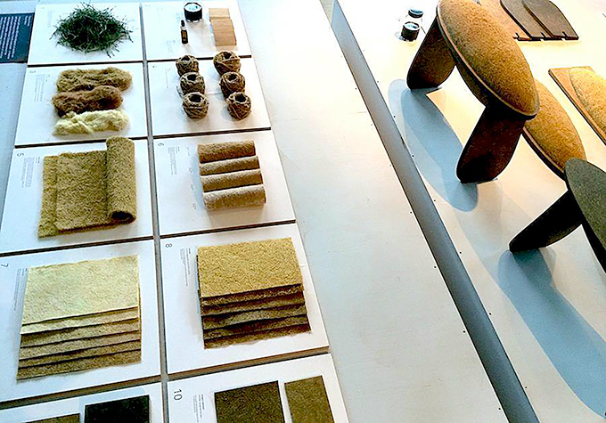 Tamara Orjola Forest Wool 2