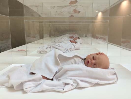 Transfigurations AgiHaines