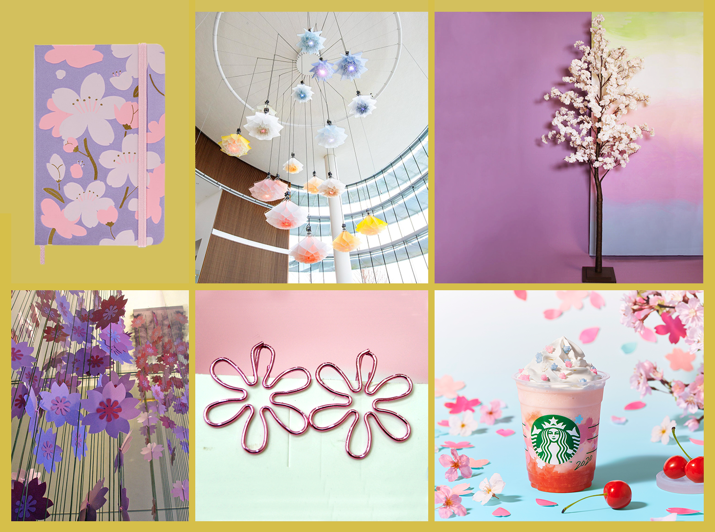 cherry blossom spring lente bloesem8