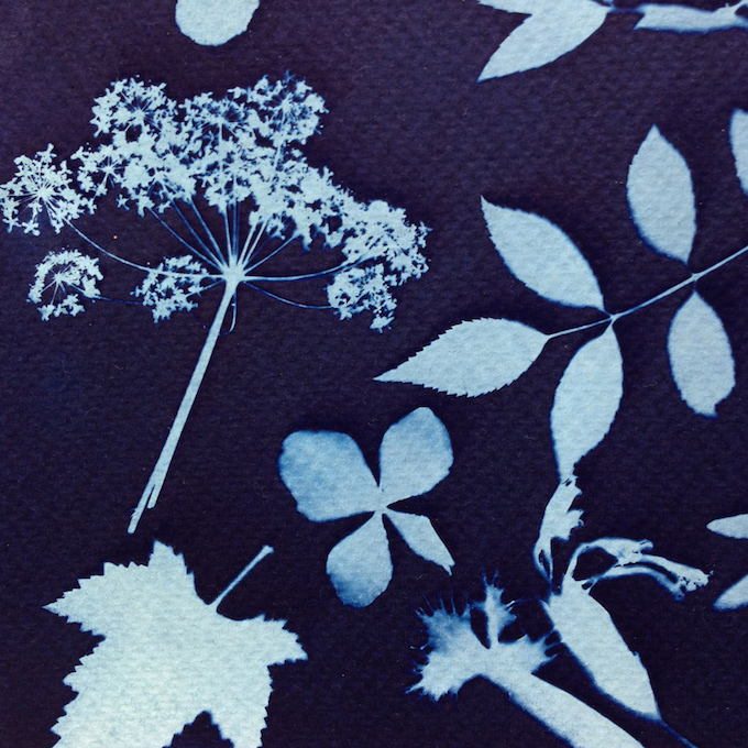 cyanotype tutorial3