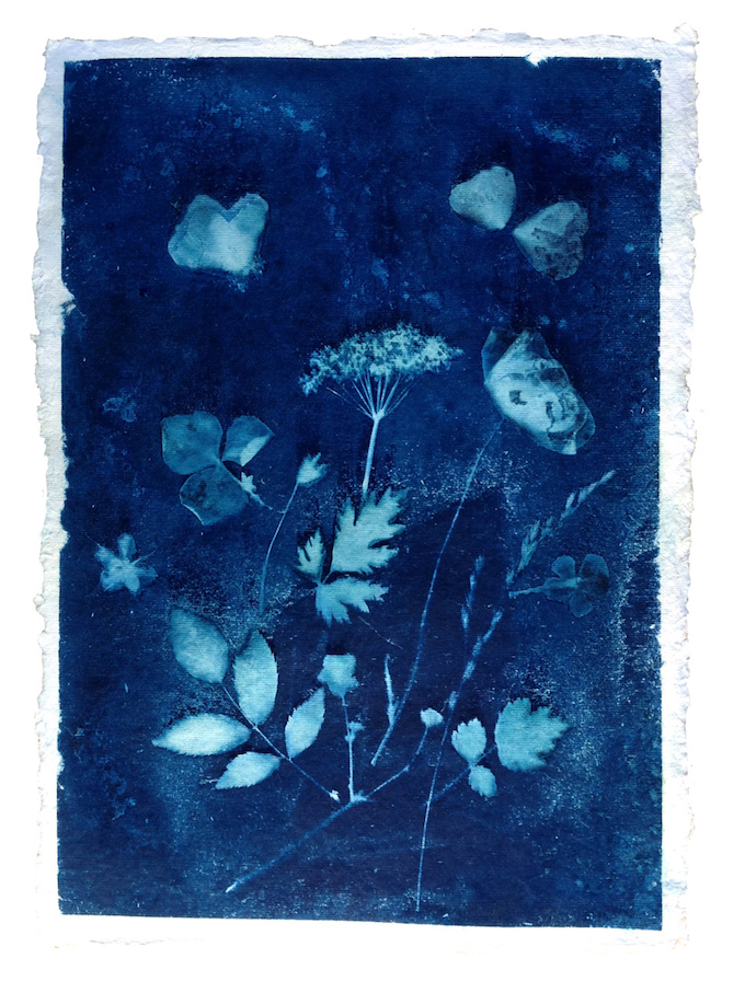 cyanotype tutorial5