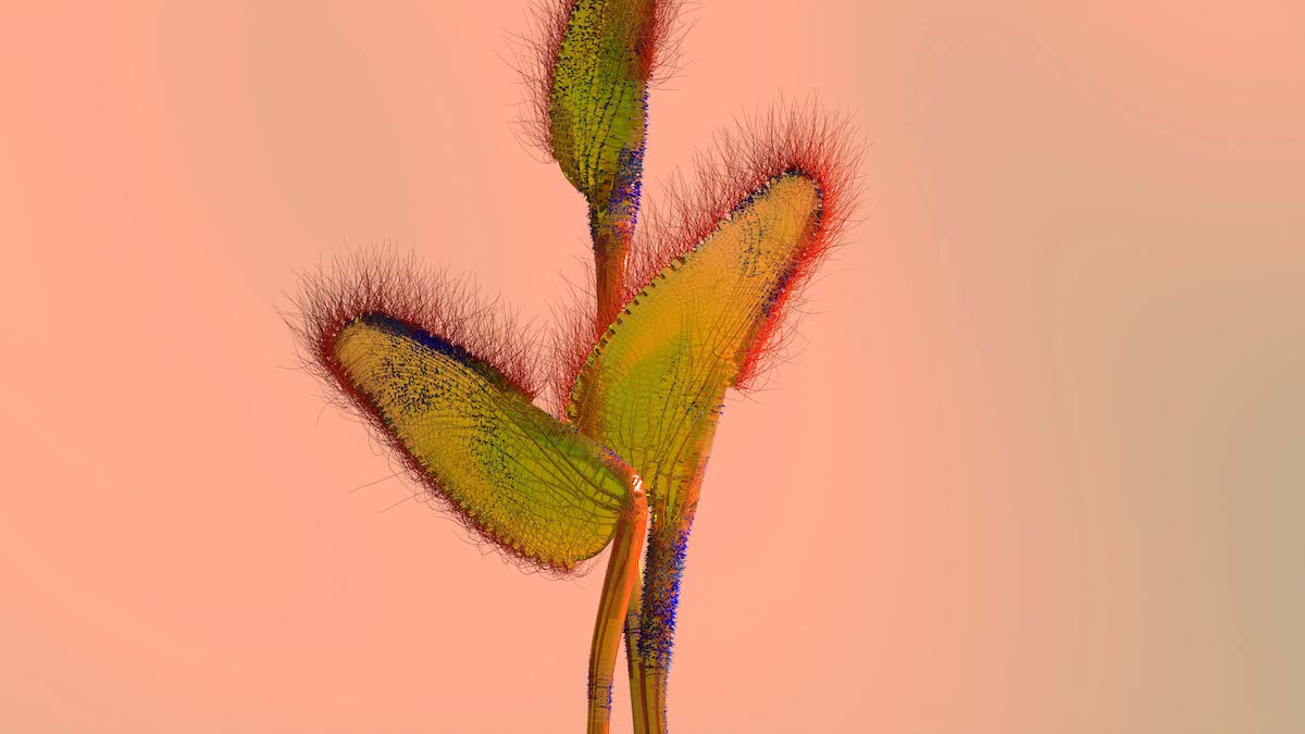  ikea virtual greenhouse dutch design week #ddw