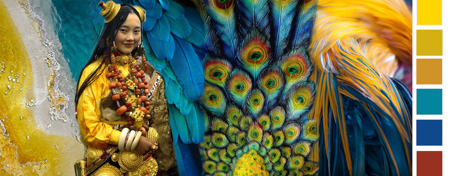 de kleuren van 2017 kleurtrends door irene van vliet Tibet Feathers