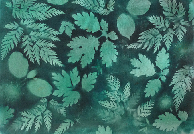 diy sunprint dieuwertje papier