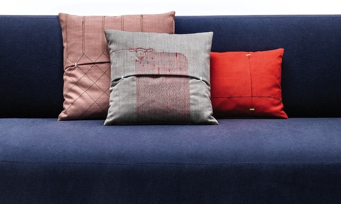 domus 00 lucidipevere shar pei1