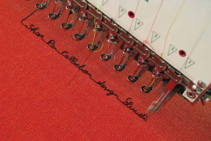 domus 03 lucidipevere shar pei