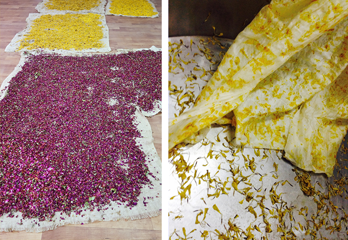 dosa temple blessings 2