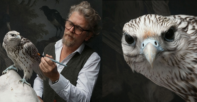 fine taxidermy darwin sinke vantongeren collage detail craft falcon