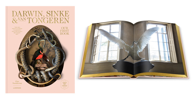 fine taxidermy darwin sinke vantongeren pink book cover first book interior picture swan