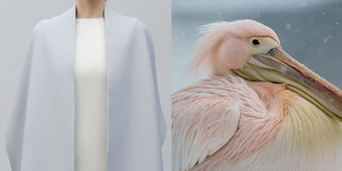 interieur kleur advies 1