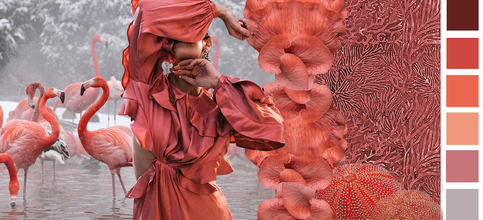 living coral irene van vliet colortrends 2019