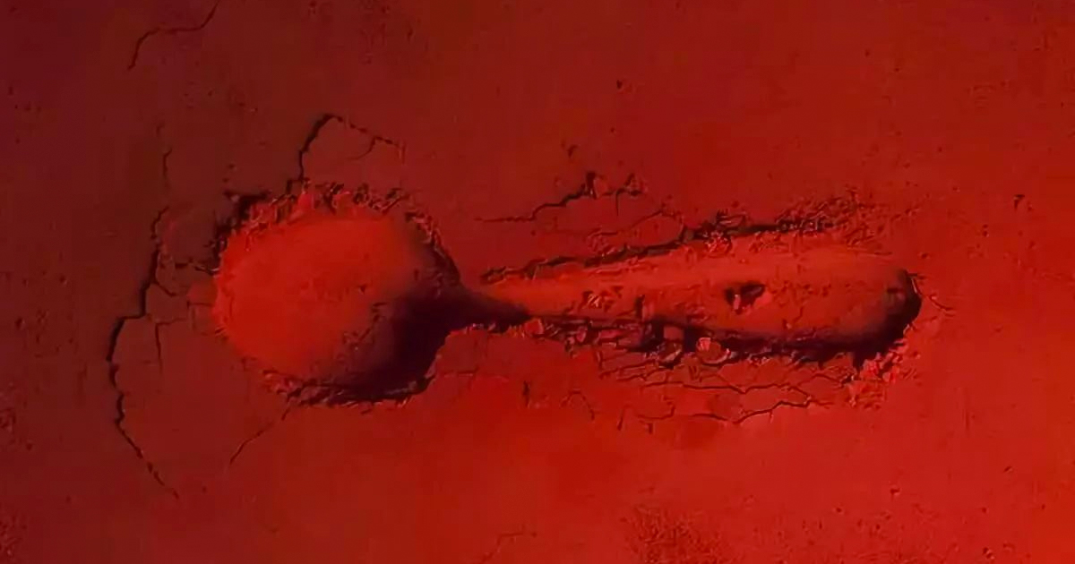 spoons decoration trend interior styling