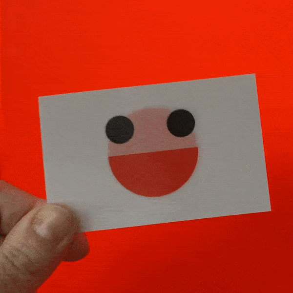 Flip the perspective; rebranding Studio Bij Kiki