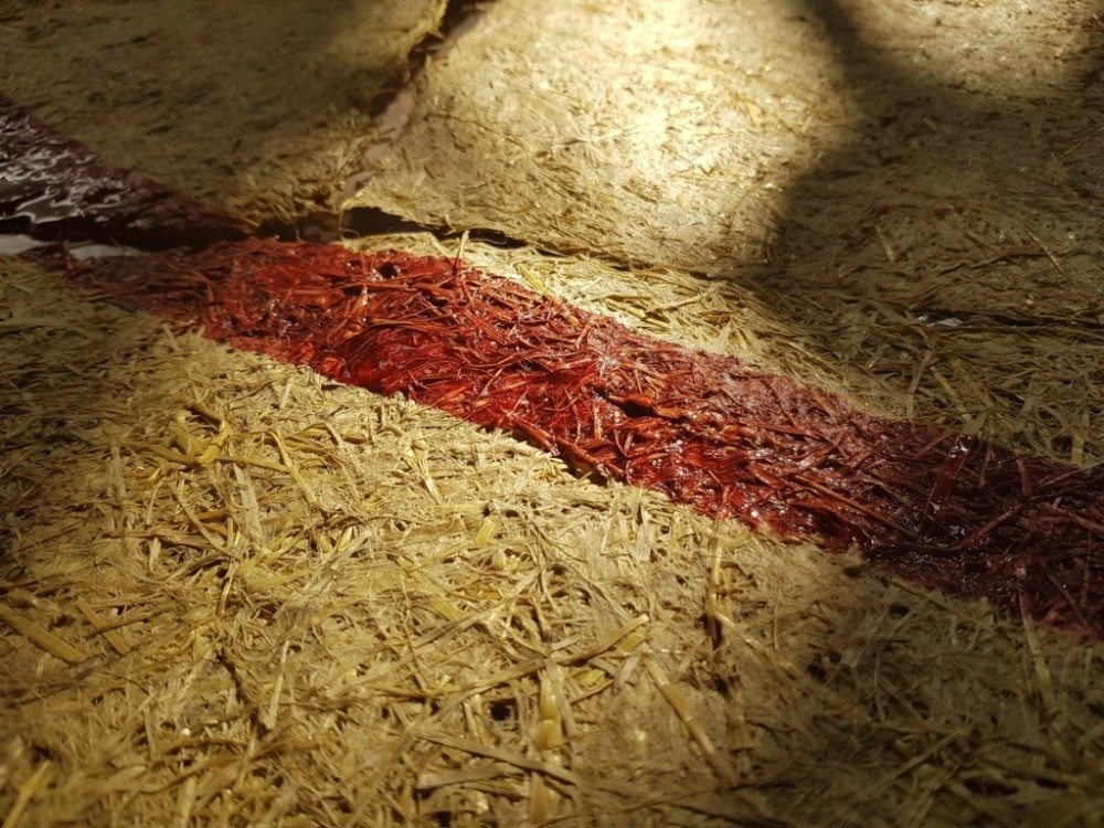 Museumagenda: de beste exposities om nú te bezoeken