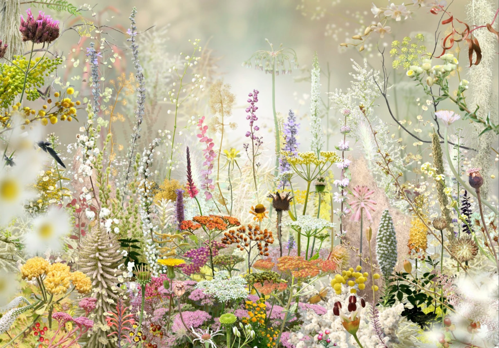 Museumagenda: de beste exposities om nú te bezoeken