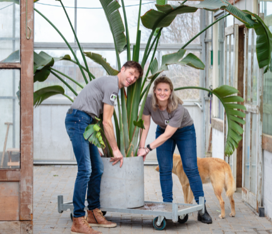 Resumé - kort nieuws 2023