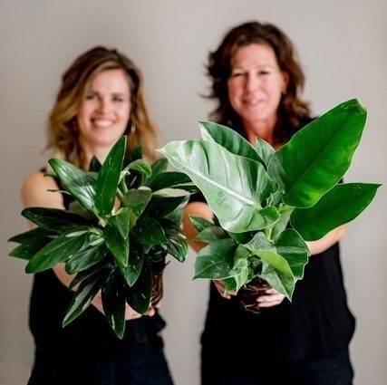 Resumé - kort nieuws 2022