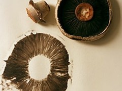 via www.savoirville.gr