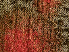 DDW 16 Adrianus Kundert rugs / material award