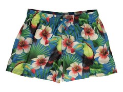 Birds of Paradise - Sundek