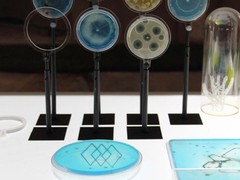 DDW15 geprinte bacteriën Joost Dankelman