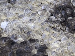 DDW15 Re-Sea-Me Nienke Hoogvliet