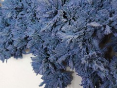 DDW15 Transnatural Thermophores