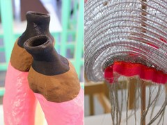 DDW 16 Dutch Invertuals