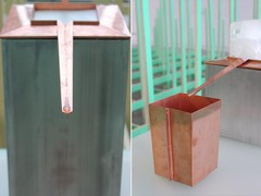 DDW 16 Dutch Invertuals