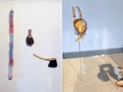 DDW 16 MU Shaping sexuality