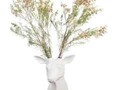 'Oh my deer Gerardo' van Guille García Hoz