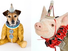 werk van Atelier Les Deux Garçons