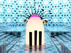 DDW 16 Dutch Invertuals