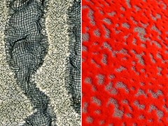 Werk van textielontwerpers Hélène Dashorst