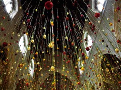 Rebecca Louise Law