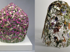 Ignacio Canales Aracil