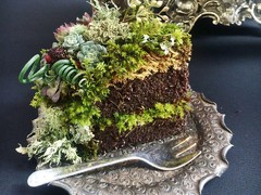 Have some cake / via lusher life design