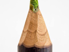 Jose Laiño - crayon alife