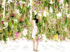 Teamlab flower garden