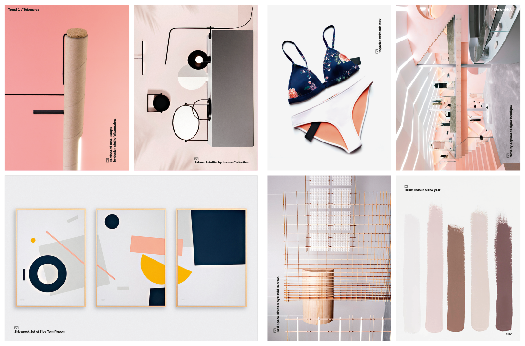 trendbook zuzanna skalska spread