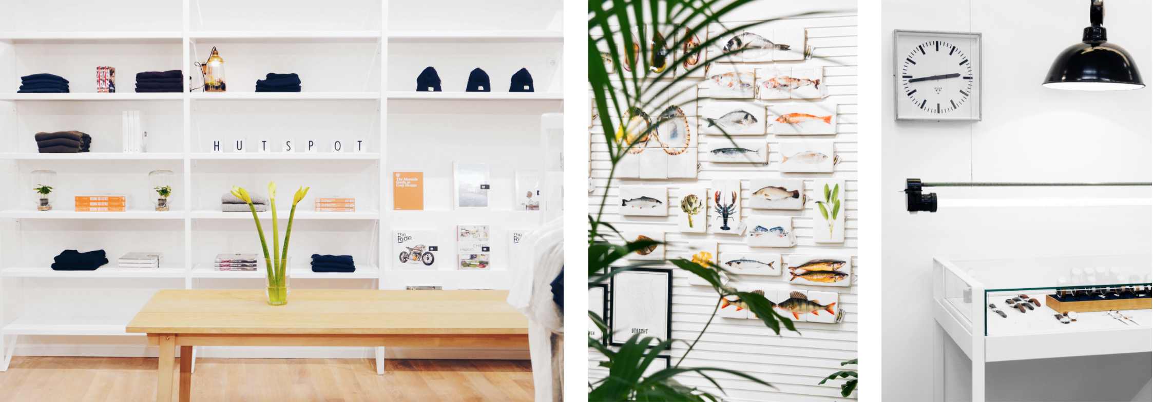 tweede leven voor hutspot dankzij dille en kamille 3