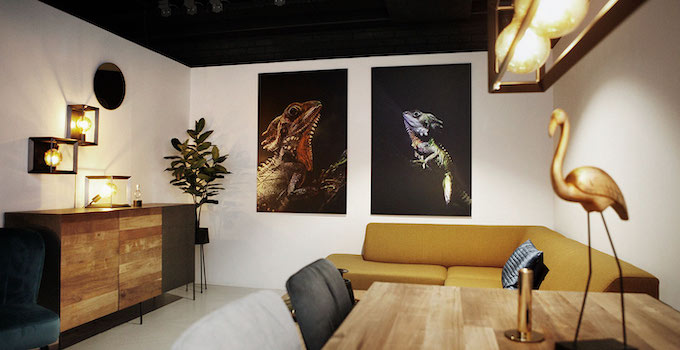 wandkraft dok2 retail wanddecoratie wonen woonstijl