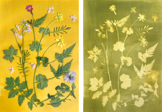 zonafdruk botanisch dessin diy textile